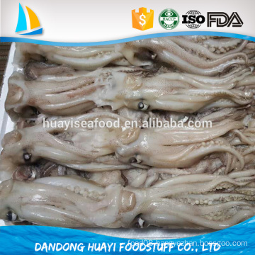 frozen best new squid tentacle for sale